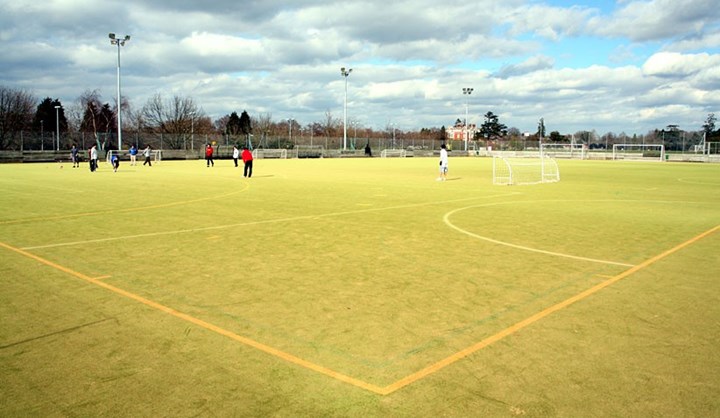 3G Pitches