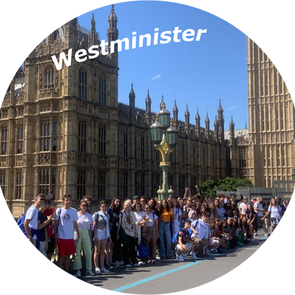 Westminister.png